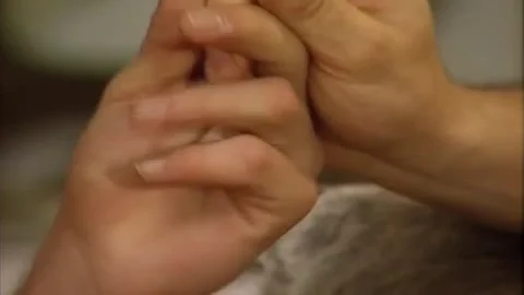 Camaradas Armados (full Film)