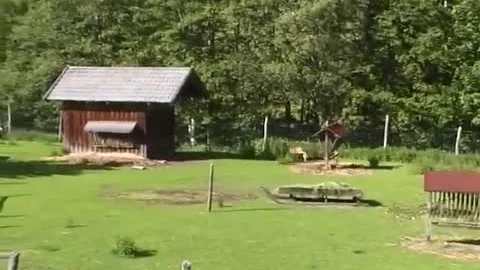 Austrian Fuckbuddys (5)