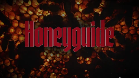 Disruptive Films: Basking in the Glow of Unbridled Passion