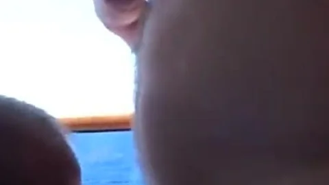 Crucero De Osos 1/5