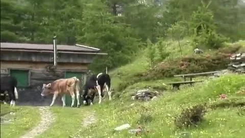 Austrian Fuckbuddys (two)