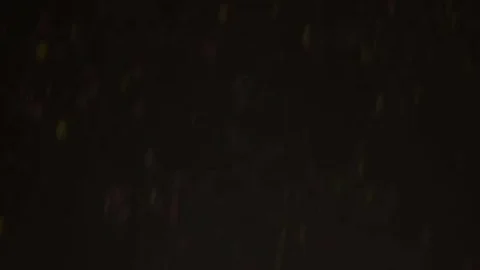 big Daddy weenies With Jon Galt & Wade Wolfgar
