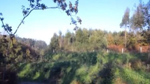 Ritorno In Camporella In Grande Stile Per Il Nostro Amico Portoghese Che Cosparge Le Stradine Di Campagna Con La Sua Calda Sborra Per La Gioia Dei Vostri Palati