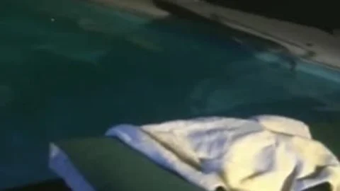 Steve Cassidy Pool poke Now And Forever