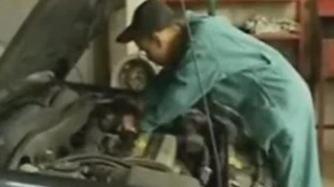 Mechanique en Tunisie: Threeway Lube and Tune-Up