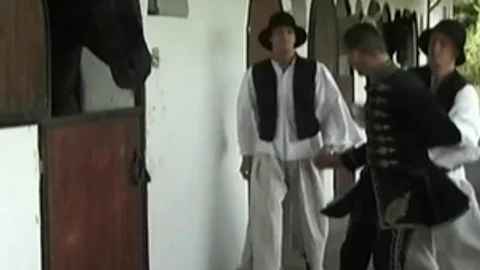Falcon Studios: Hard Cock Interrogation