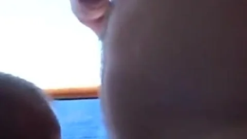 Crucero De Osos 1/5