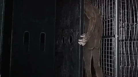 bare orgy In A Sex Club