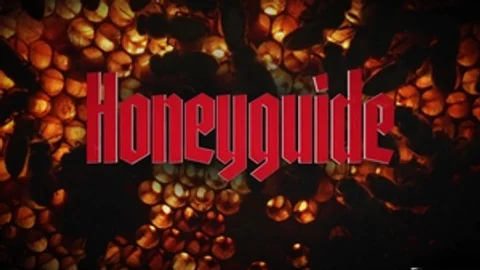 Disruptive Films: Basking in the Glow of Unbridled Passion