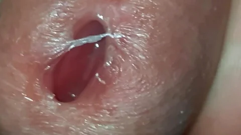 video WhatsAp ass