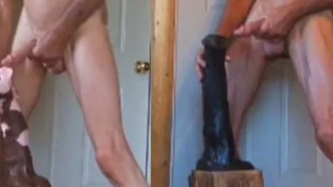 stallion cock And plowing manalhole
ive Horse rod ...