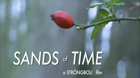 Sands Of Time